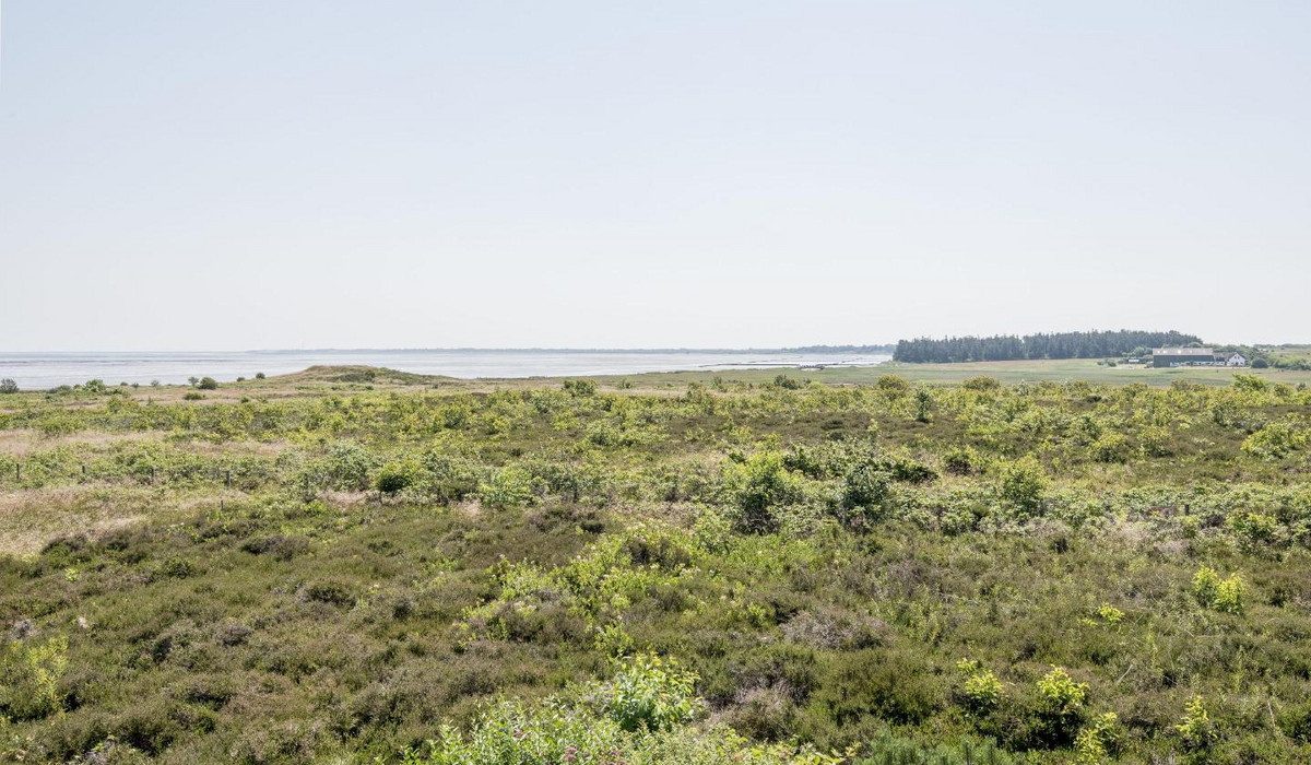 Haus Sönshörn 14, Whg. 6 Wattblick
