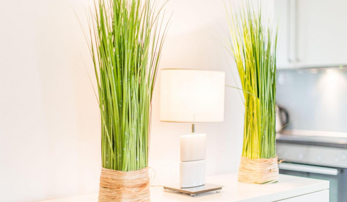 Haus Nordgang 8, Haushälfte B