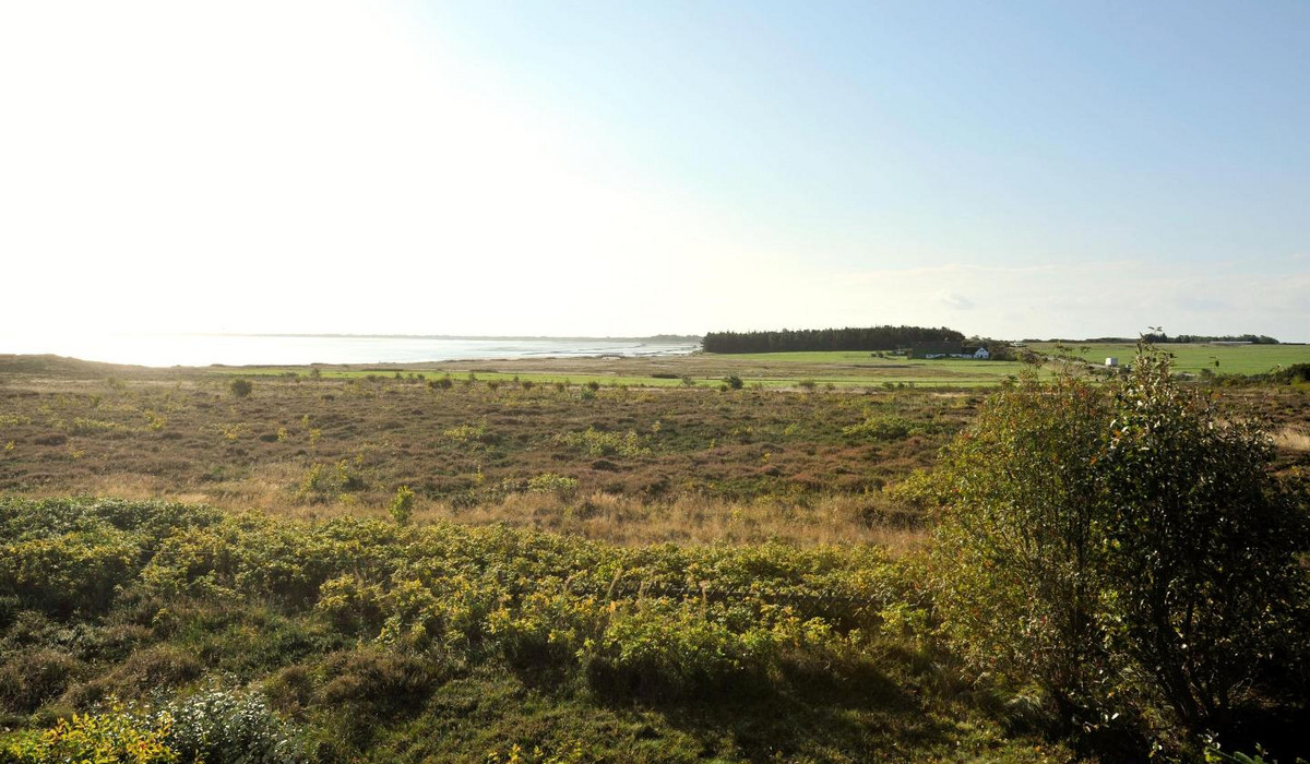 Haus Sönshörn 10, Whg. 4 Simon