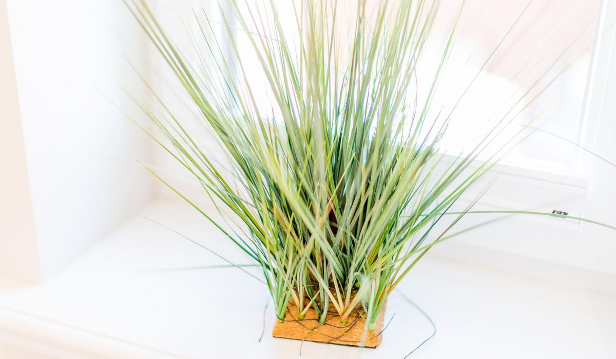 Haus Mateika, Whg. 10 Sammy