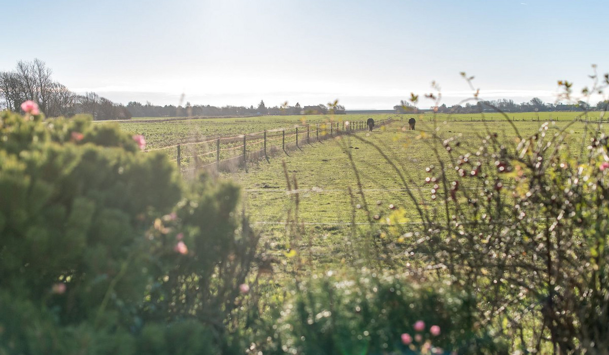 Ferienhaus Weitblick
