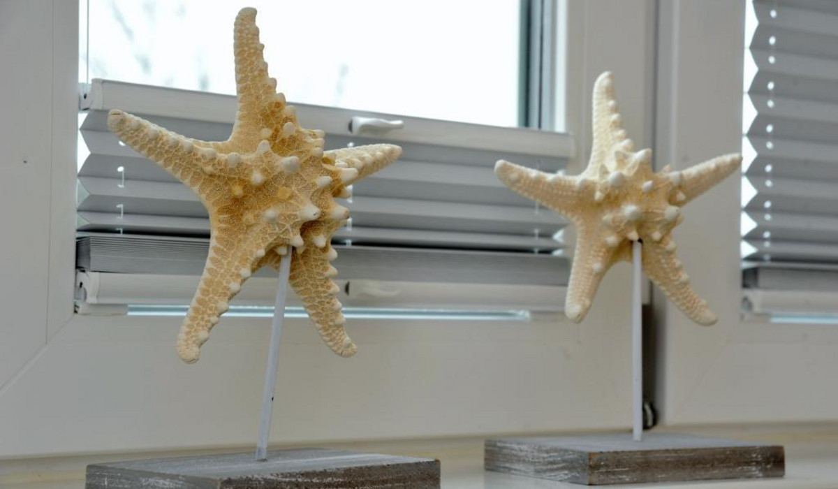 Haus Grenzkrug, Haushälfte 4a