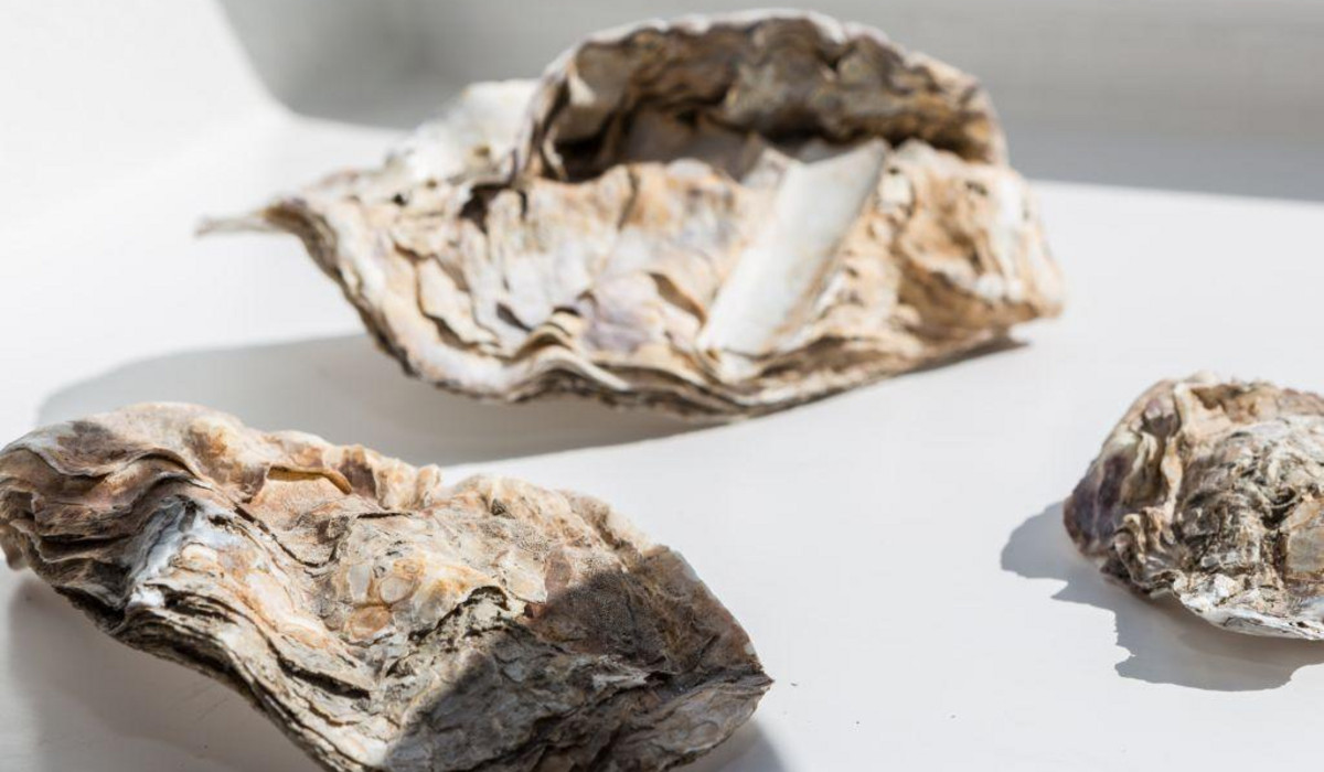 Haus Margaretheneck, Whg. 10