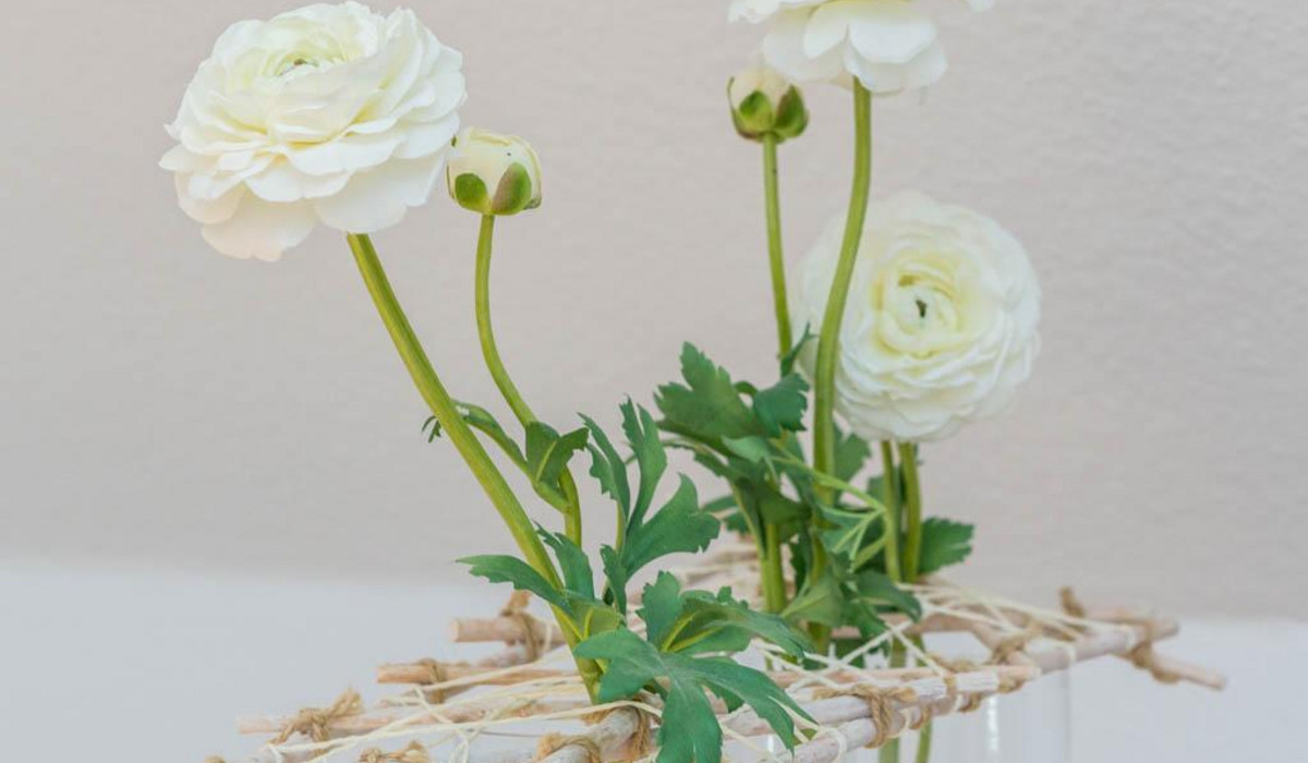 Haus SeeRose, Whg. 1