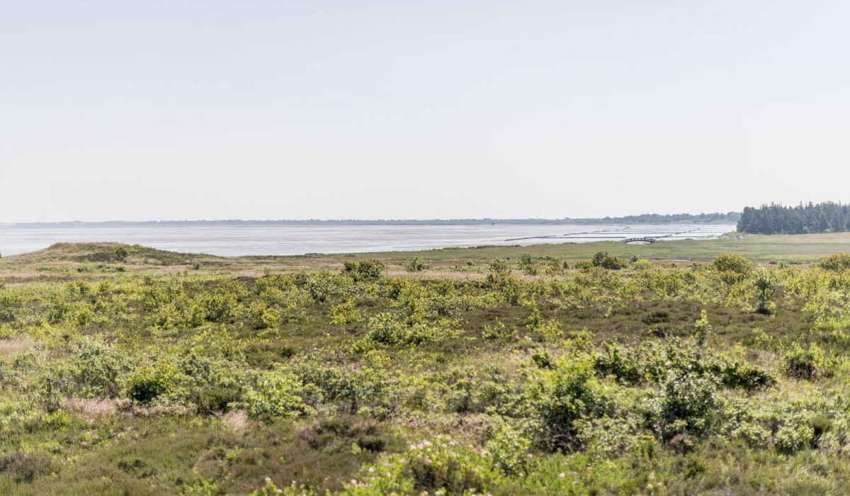 Haus Sönshörn 14, Whg. 6 Wattblick