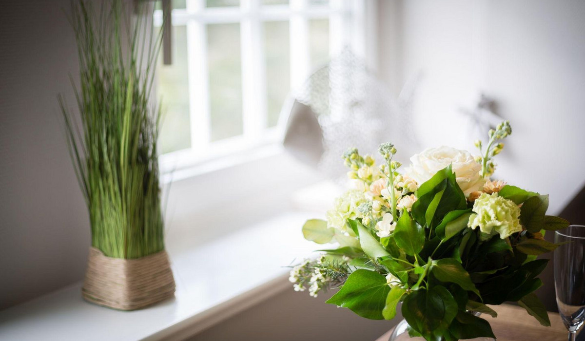 Haus Weesterhuk, Whg. 8 Jopi