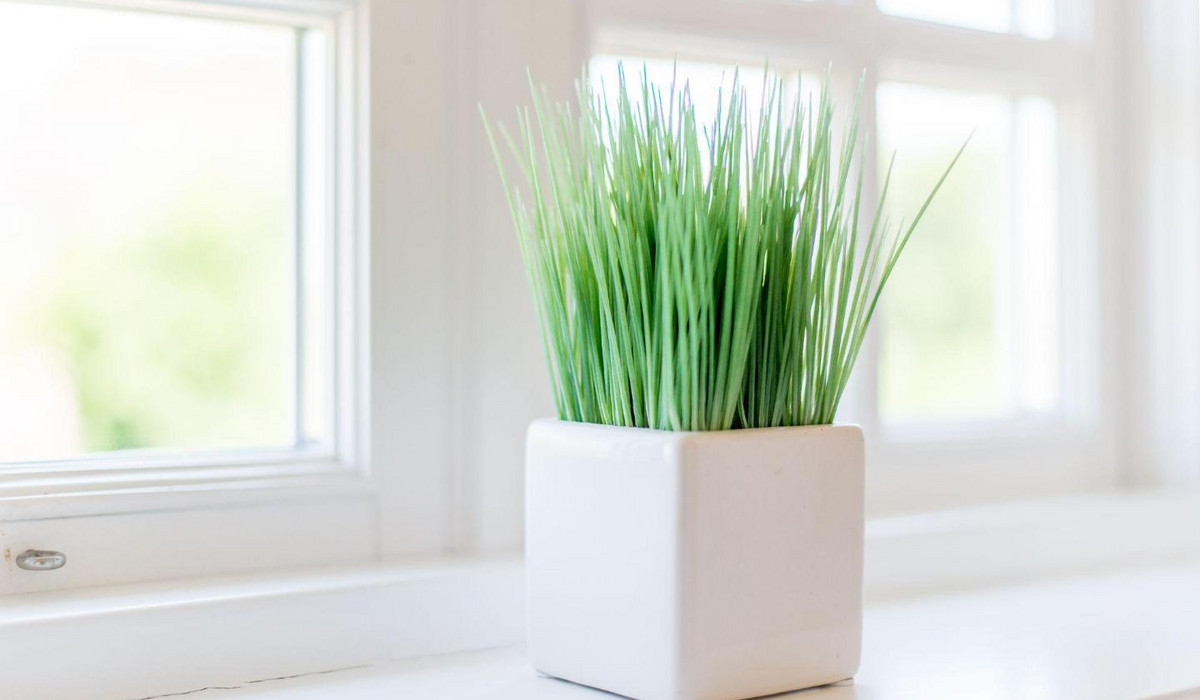 Nuur Hiir Hüs, Whg. 4