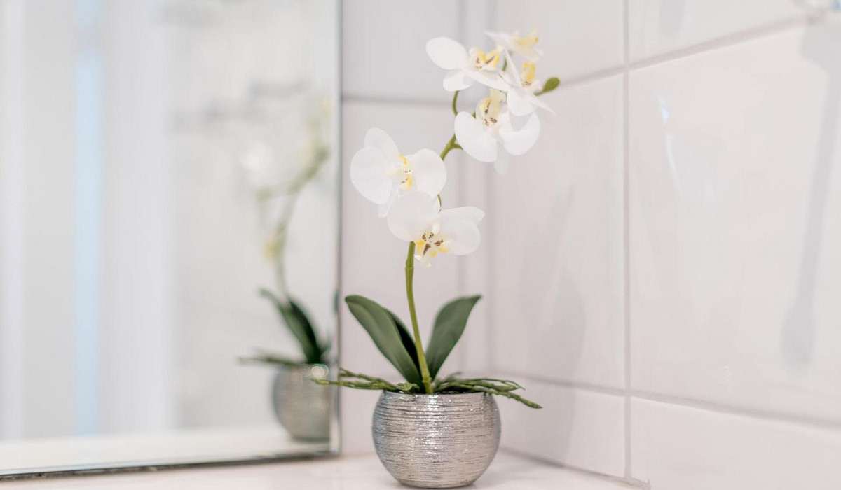 Haus Blanker Hans, Strand Whg. 69