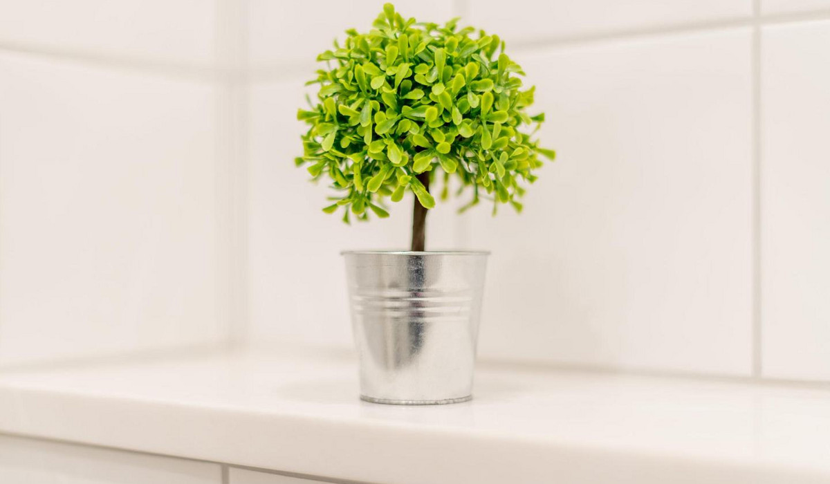 Haus Blanker Hans, Strand Whg. 69