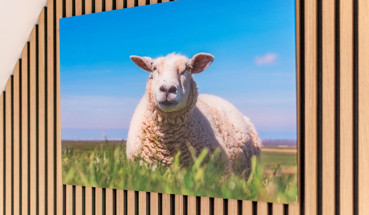 Erich Johannsen Wai Whg. 6