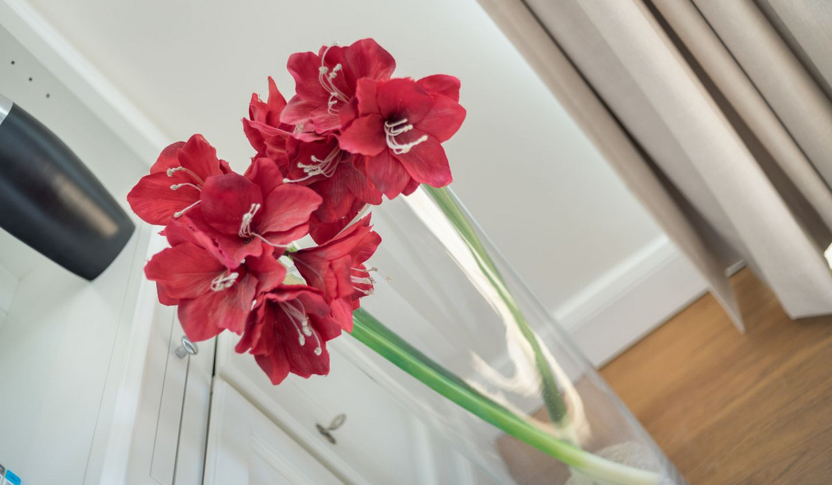 Residenz Bismarck, Whg. 21