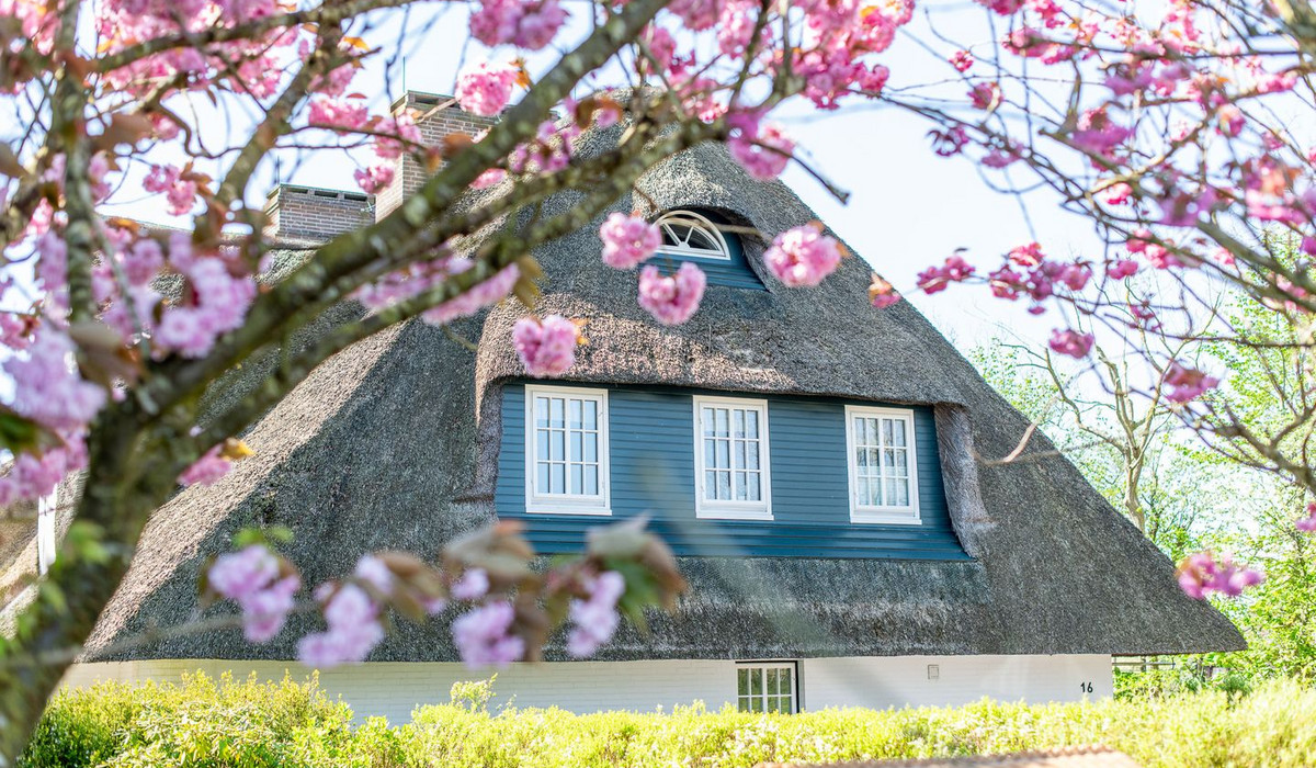 Haus Tipkenhoog 16 Whg. Patricia