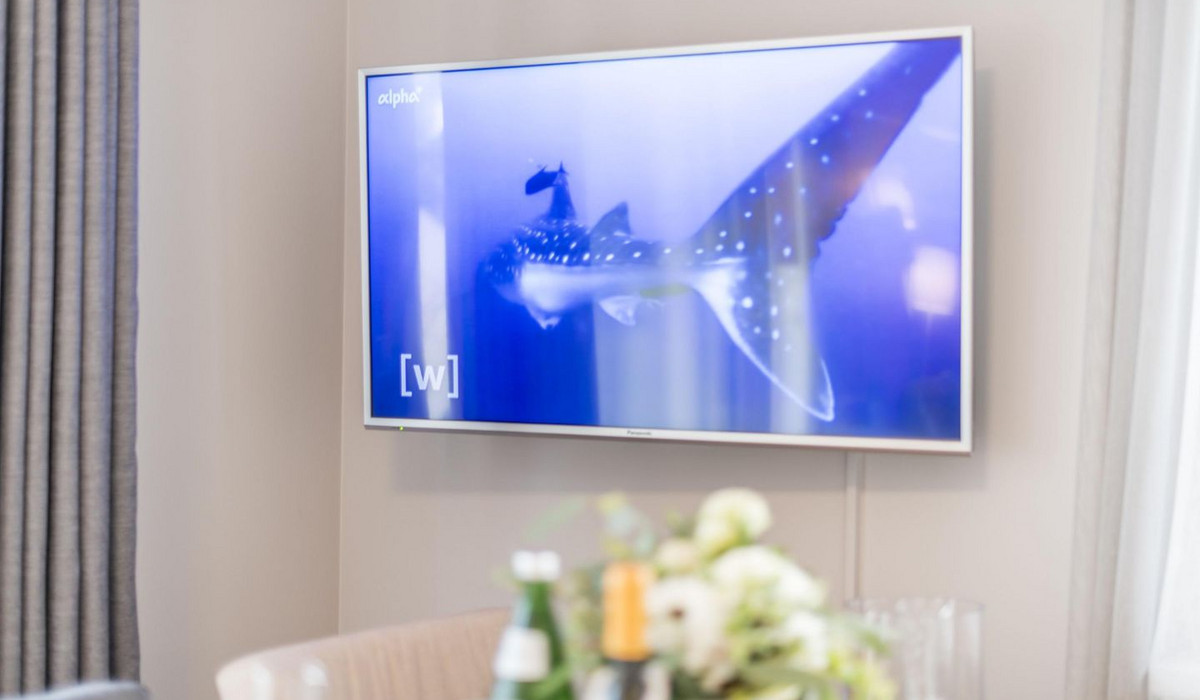 - Whg. 2 "Waldidyll"